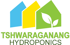 Tshwaraganang Hydroponics