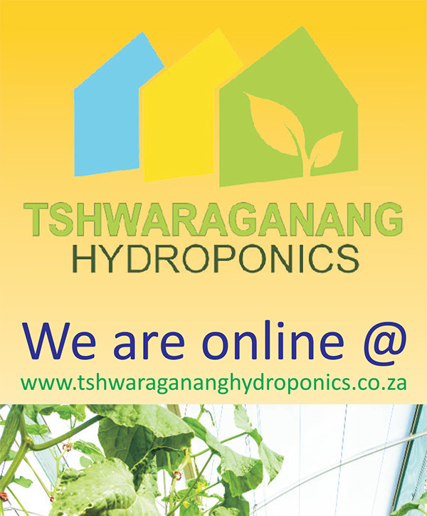 FT-PUBLICATIONS:Trifold Brochure Tshwaraganang
